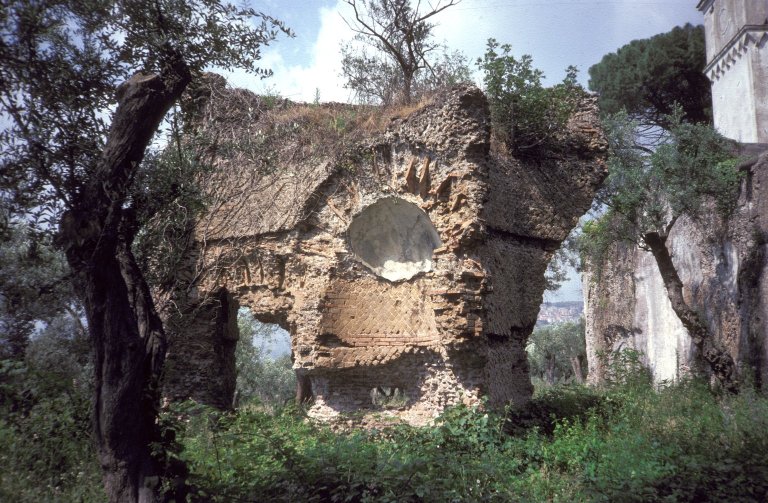 Reverse-curve pavilion