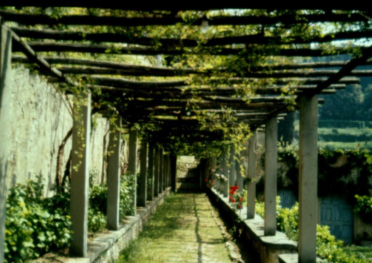 Pergola